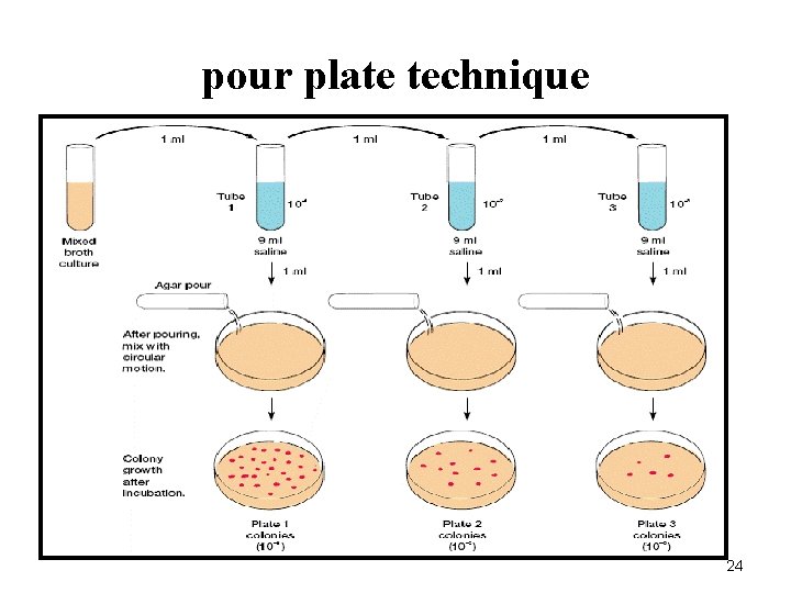 pour plate technique 24 