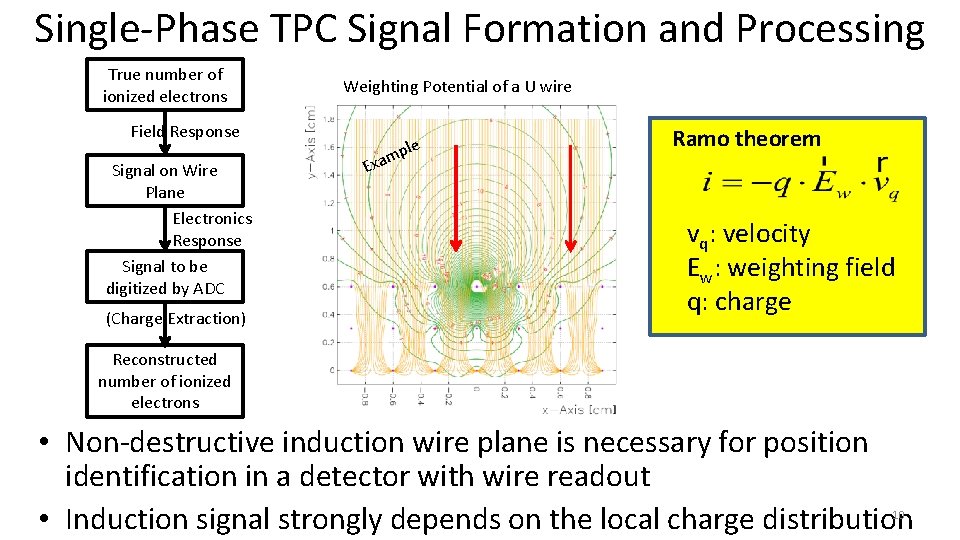 Single-Phase TPC Signal Formation and Processing True number of ionized electrons Weighting Potential of