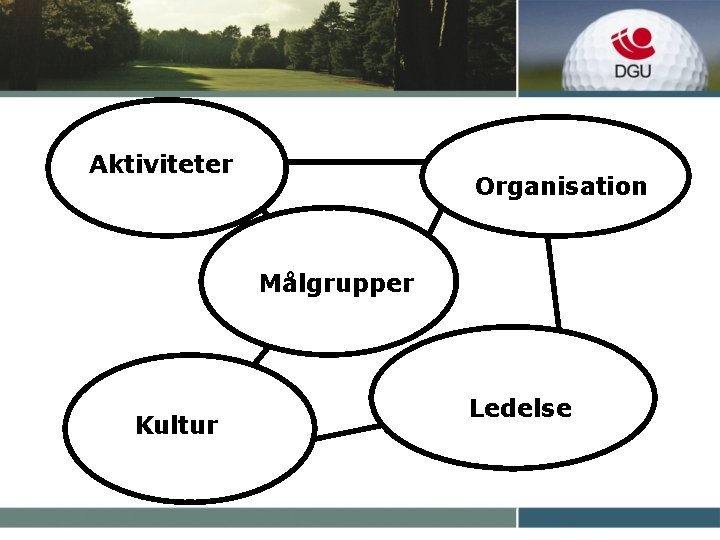 Aktiviteter Organisation Målgrupper Kultur Ledelse 