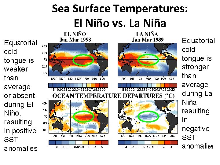 Sea Surface Temperatures: El Niño vs. La Niña Equatorial cold tongue is weaker than