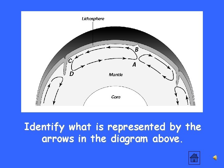 Identify what is represented by the arrows in the diagram above. 