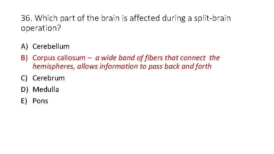 36. Which part of the brain is affected during a split-brain operation? A) Cerebellum