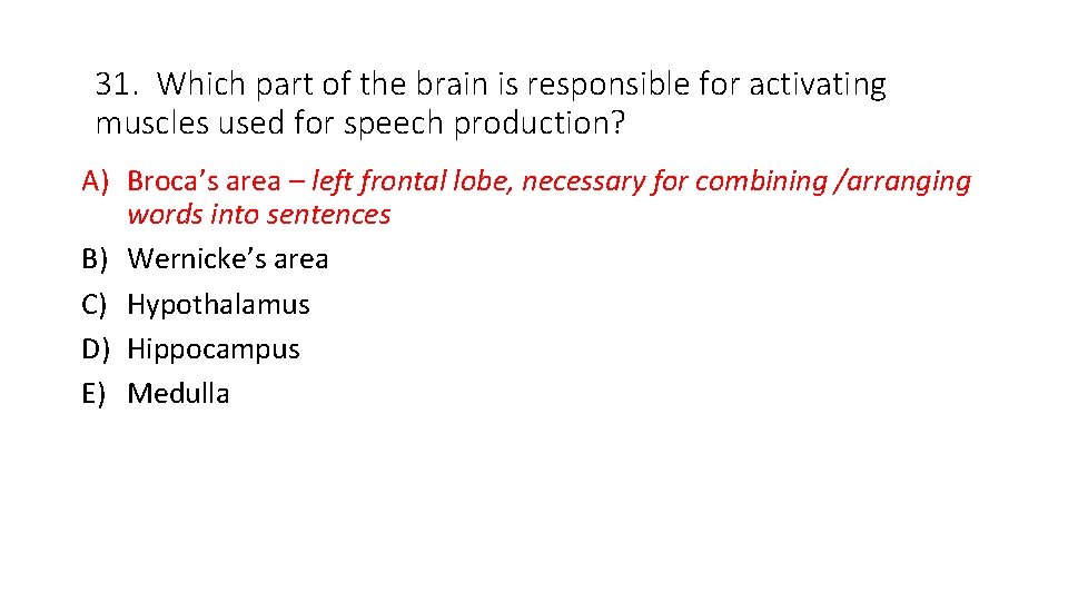 31. Which part of the brain is responsible for activating muscles used for speech