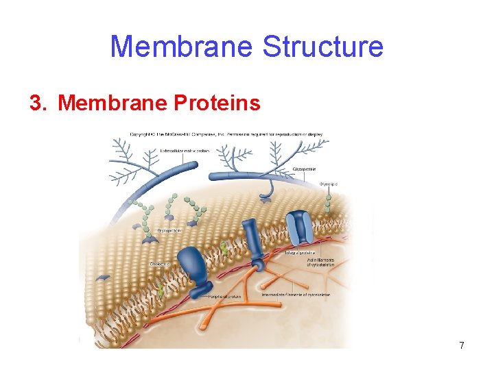 Membrane Structure 3. Membrane Proteins 7 