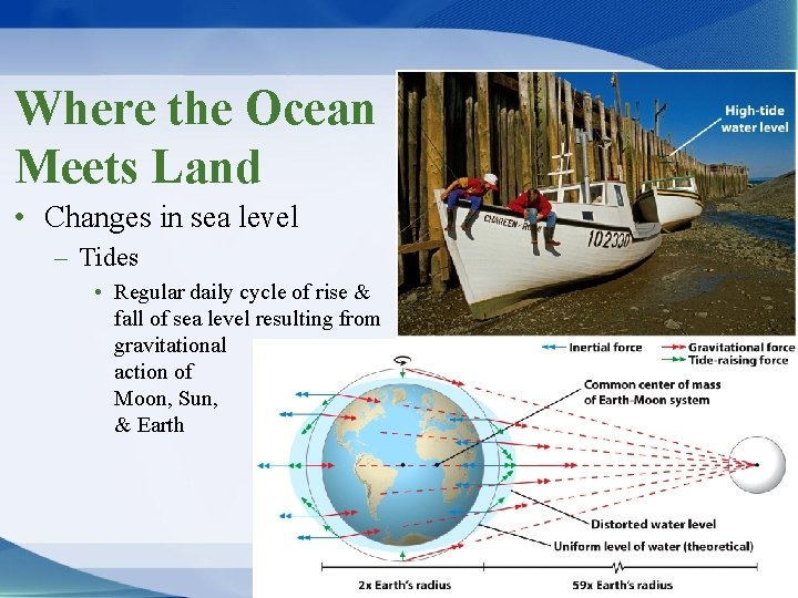 Where the Ocean Meets Land • Changes in sea level – Tides • Regular