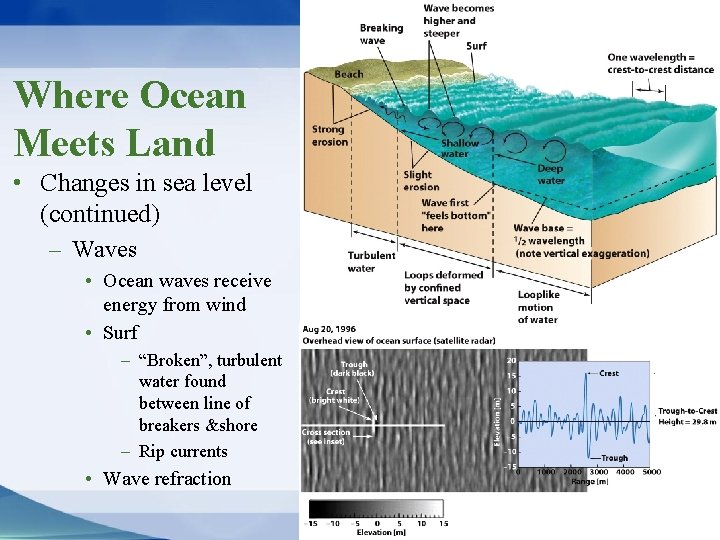 Where Ocean Meets Land • Changes in sea level (continued) – Waves • Ocean
