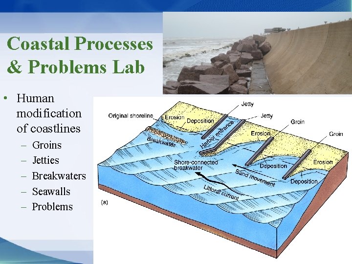 Coastal Processes & Problems Lab • Human modification of coastlines – – – Groins