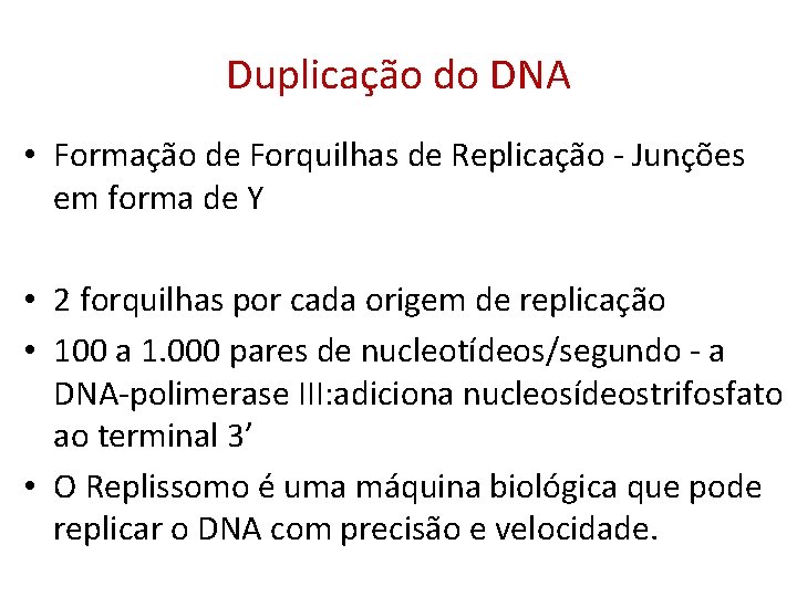 Duplicação do DNA • Formação de Forquilhas de Replicação - Junções em forma de