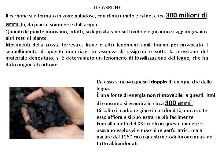 IL CARBONE Il carbone si è formato in zone paludose, con clima umido e