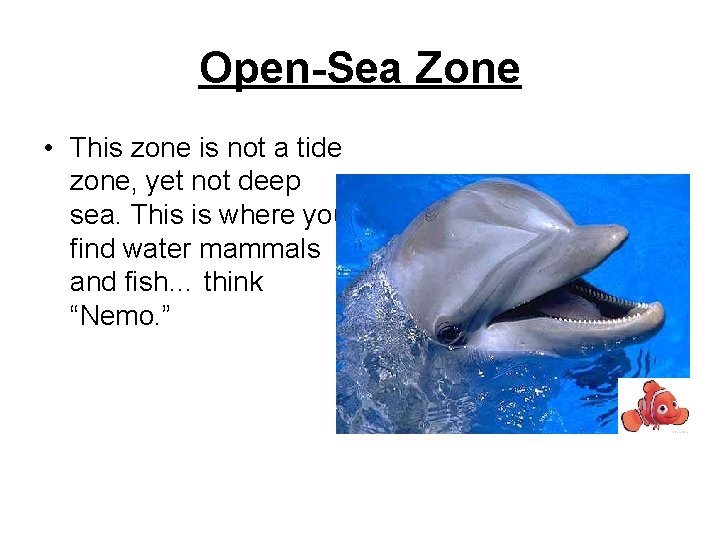 Open-Sea Zone • This zone is not a tide zone, yet not deep sea.