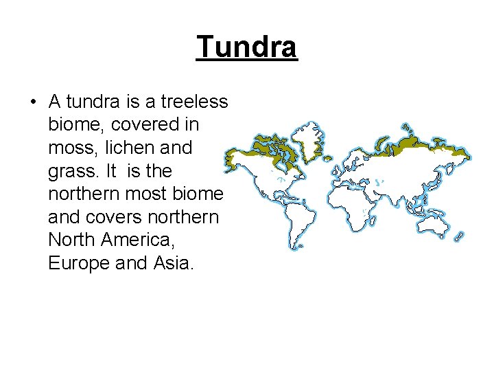 Tundra • A tundra is a treeless biome, covered in moss, lichen and grass.