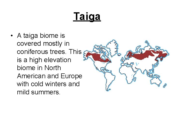 Taiga • A taiga biome is covered mostly in coniferous trees. This is a
