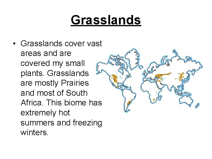 Grasslands • Grasslands cover vast areas and are covered my small plants. Grasslands are