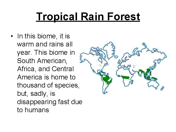 Tropical Rain Forest • In this biome, it is warm and rains all year.