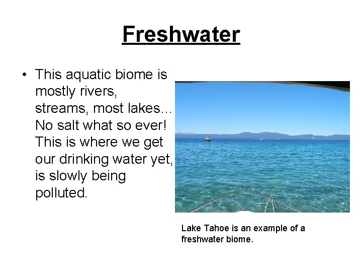 Freshwater • This aquatic biome is mostly rivers, streams, most lakes… No salt what