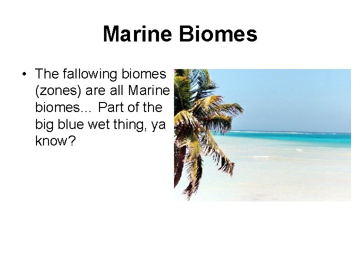 Marine Biomes • The fallowing biomes (zones) are all Marine biomes… Part of the