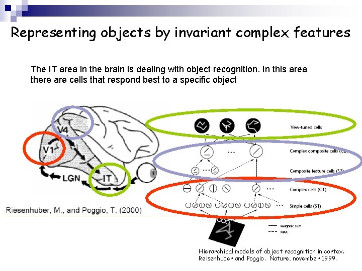 Representing objects by invariant complex features The IT area in the brain is dealing