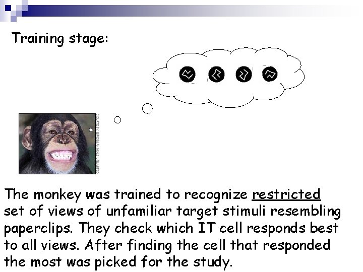 Training stage: The monkey was trained to recognize restricted set of views of unfamiliar
