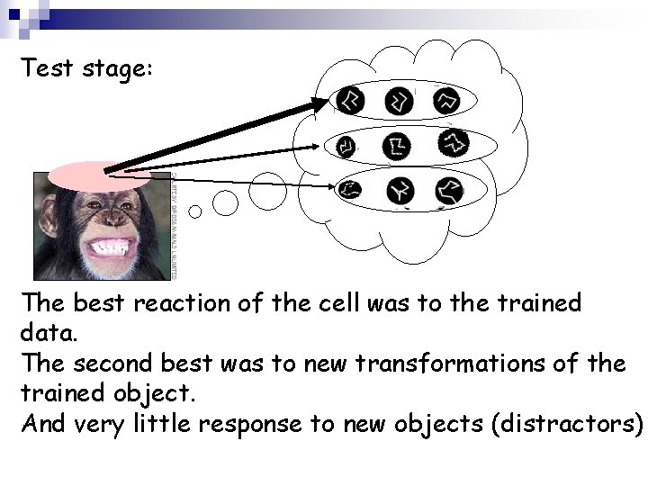 Test stage: The best reaction of the cell was to the trained data. The