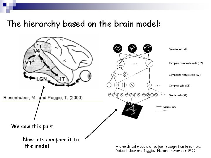 The hierarchy based on the brain model: We saw this part Now lets compare