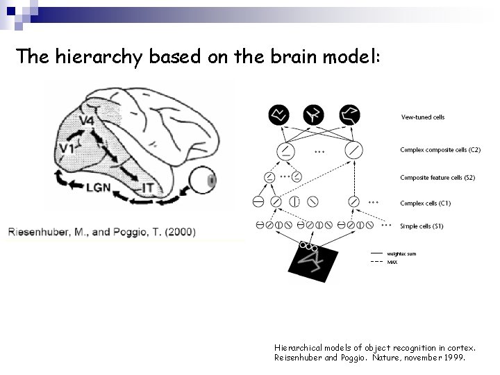 The hierarchy based on the brain model: Hierarchical models of object recognition in cortex.
