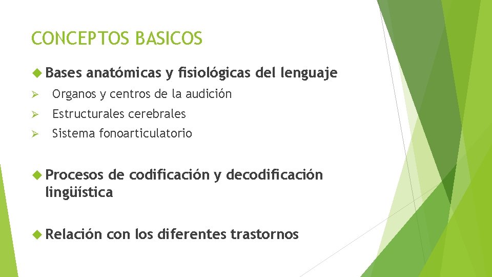 CONCEPTOS BASICOS Bases anatómicas y fisiológicas del lenguaje Ø Organos y centros de la