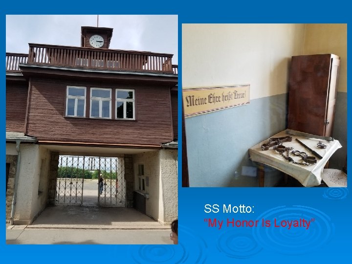 SS Motto: “My Honor Is Loyalty” 