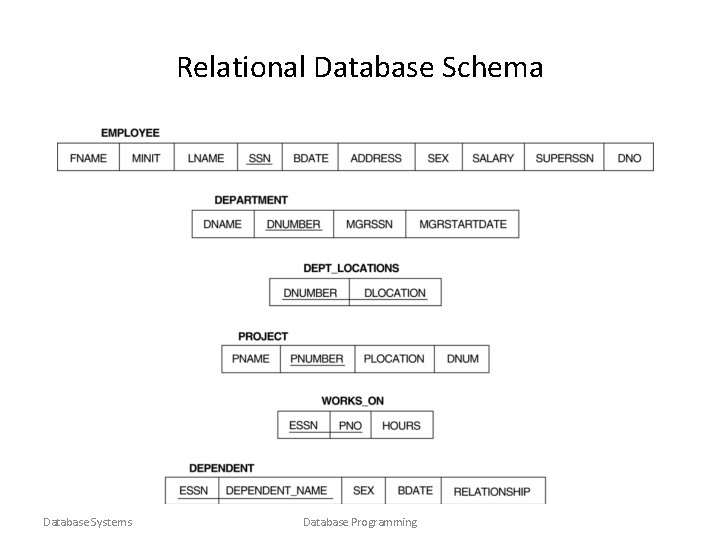 Relational Database Schema Database Systems Database Programming 