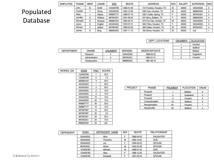 Populated Database Systems Database Programming 