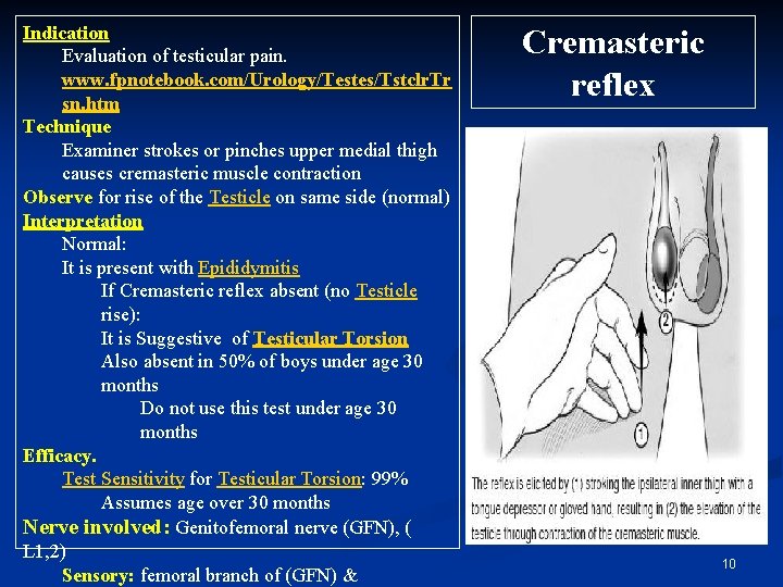 Indication Evaluation of testicular pain. www. fpnotebook. com/Urology/Testes/Tstclr. Tr sn. htm Technique Examiner strokes