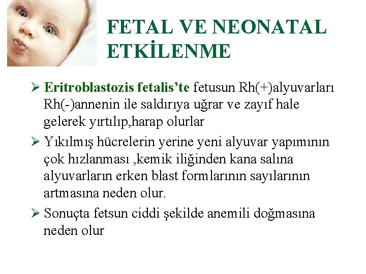 FETAL VE NEONATAL ETKİLENME Ø Eritroblastozis fetalis’te fetusun Rh(+)alyuvarları Rh( )annenin ile saldırıya uğrar