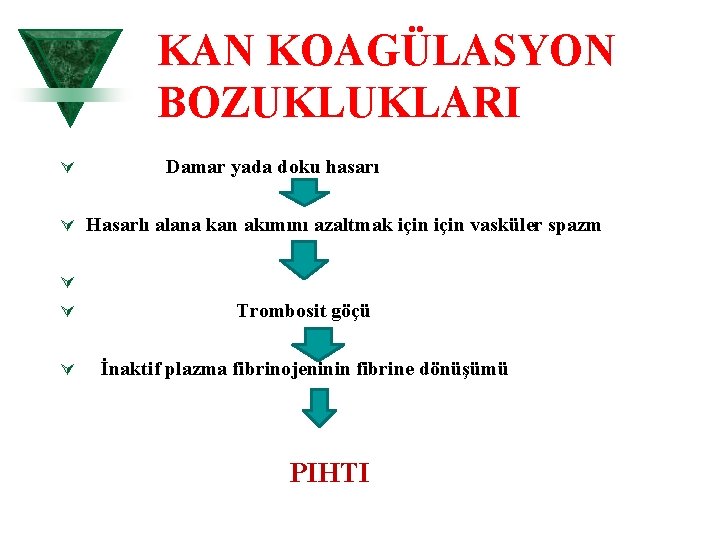 KAN KOAGÜLASYON BOZUKLUKLARI Ú Damar yada doku hasarı Ú Hasarlı alana kan akımını azaltmak