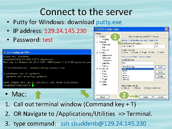 Connect to the server • Putty for Windows: download putty. exe • IP address: