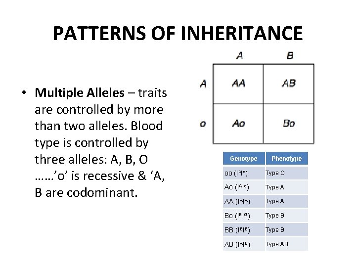 PATTERNS OF INHERITANCE • Multiple Alleles – traits are controlled by more than two