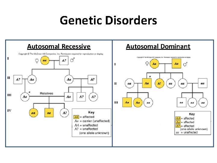 Genetic Disorders Autosomal Recessive Autosomal Dominant 