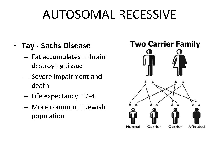 AUTOSOMAL RECESSIVE • Tay - Sachs Disease – Fat accumulates in brain destroying tissue