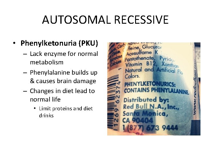 AUTOSOMAL RECESSIVE • Phenylketonuria (PKU) – Lack enzyme for normal metabolism – Phenylalanine builds