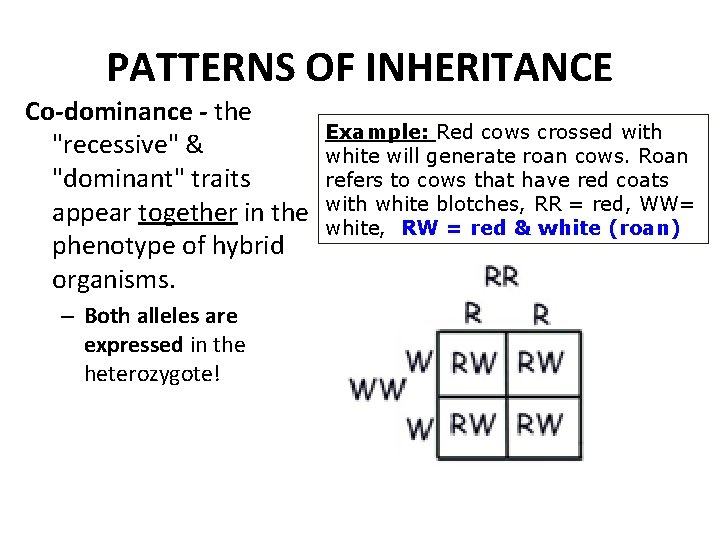 PATTERNS OF INHERITANCE Co-dominance - the "recessive" & "dominant" traits appear together in the