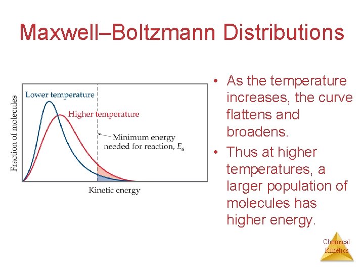 Maxwell–Boltzmann Distributions • As the temperature increases, the curve flattens and broadens. • Thus