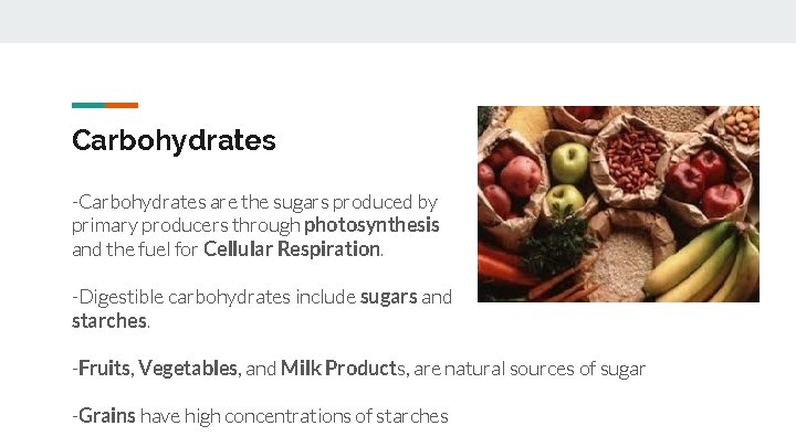 Carbohydrates -Carbohydrates are the sugars produced by primary producers through photosynthesis and the fuel