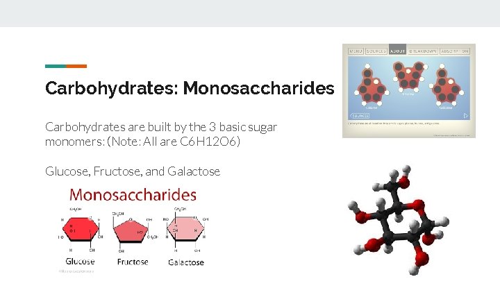 Carbohydrates: Monosaccharides Carbohydrates are built by the 3 basic sugar monomers: (Note: All are