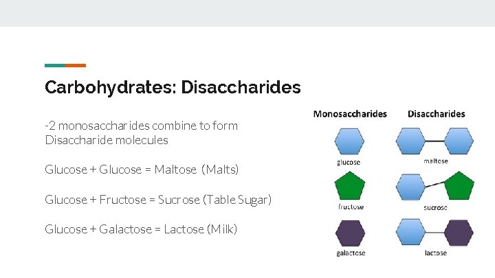 Carbohydrates: Disaccharides -2 monosaccharides combine to form Disaccharide molecules Glucose + Glucose = Maltose