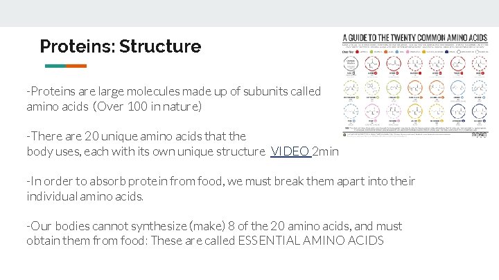 Proteins: Structure -Proteins are large molecules made up of subunits called amino acids (Over