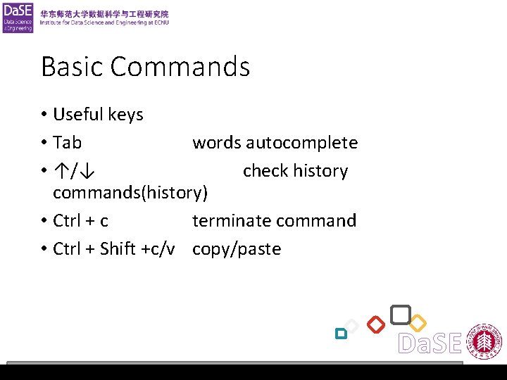 Operating System Lab 1 Basic Commands • Useful keys • Tab words autocomplete •