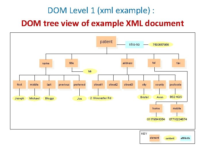 DOM Level 1 (xml example) : DOM tree view of example XML document patient