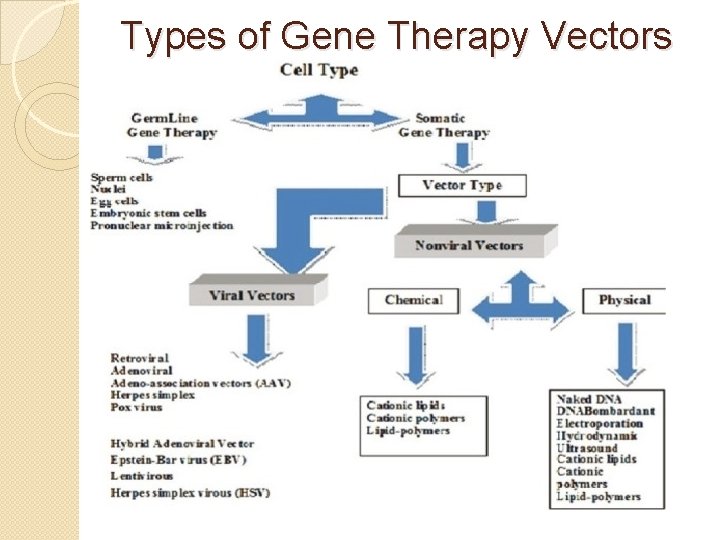 Types of Gene Therapy Vectors 