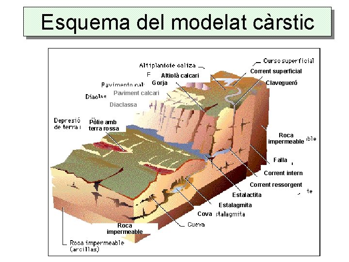 Esquema del modelat càrstic Altiplà calcari Gorja Corrent superficial Clavegueró Paviment calcari Diaclassa Pòlie