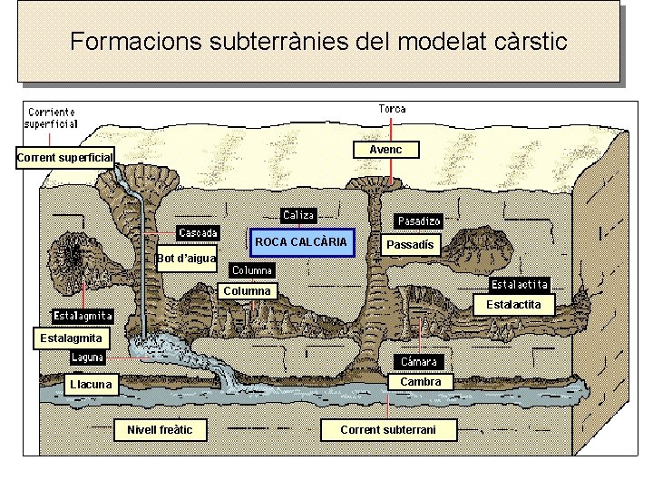 Formacions subterrànies del modelat càrstic Avenc Corrent superficial ROCA CALCÀRIA Passadís Bot d’aigua Columna