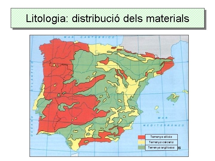 Litologia: distribució dels materials Terrenys silicis Terrenys calcaris Terrenys argilosos 