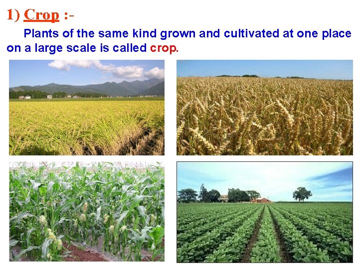 1) Crop : Plants of the same kind grown and cultivated at one place